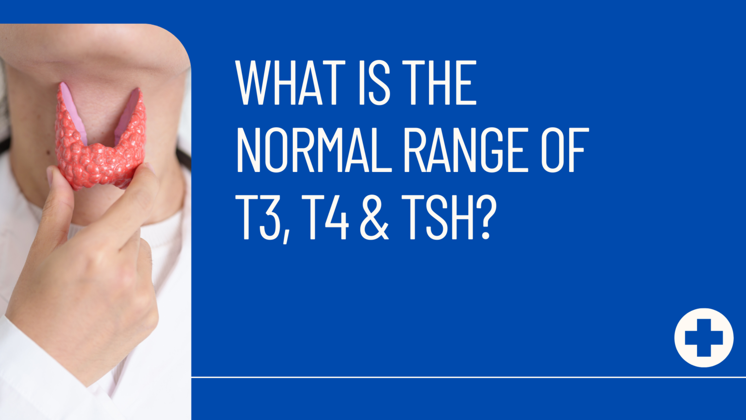 T3 T4 Tsh normal range and their significance